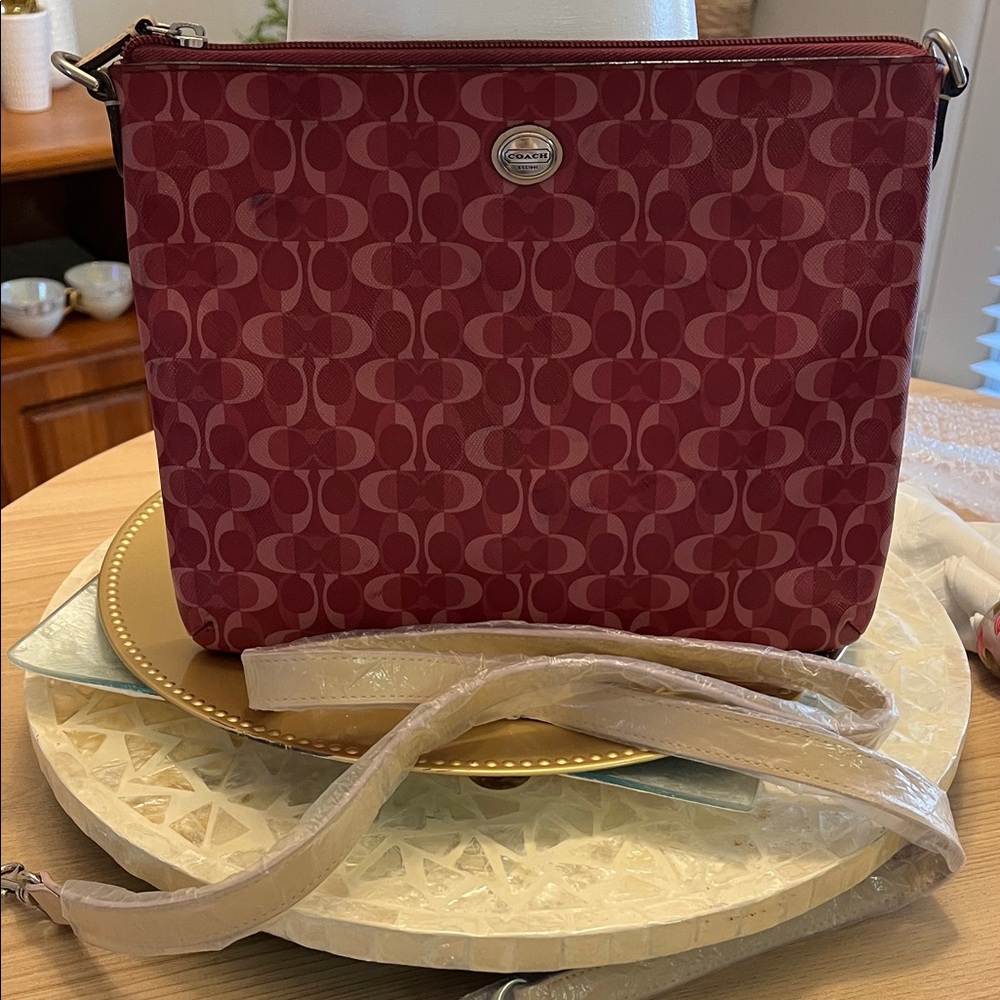 Coach F67516 Peyton Dream C Large Tech Pouch